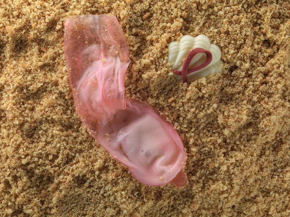 Alvin Leung’s dish Sex on the Beach takes #foodporn to the next level